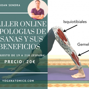 Taller tipologías de âsanas