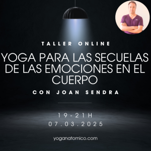Secuelas de las emociones