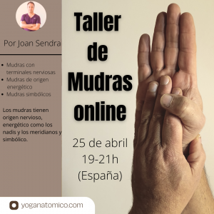 Taller mudras