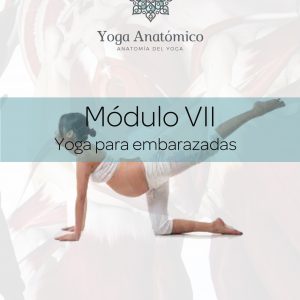 Embarazadas