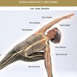 Libro sistema nervioso y endocrino (descargable)