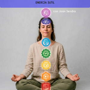 Libro energía sutil (físico)