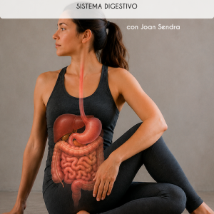 Libro sistema digestivo (descargable)