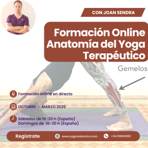 XI edición Online